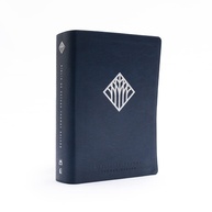 nelson-deus-nvi-a-biblia-narrativa-compreenda-estudo-thomas-grande-a-de-de-azul-a