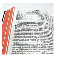 Bíblia ARC: Letra Grande, Harpa e Capa Neon - imagem 2
