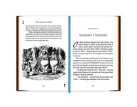 no-luxo-edicao-atraves-ilustrada-maravilhas-a-pais-espelho-do-de-das-alice-a