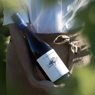 Vinho Tinto Chileno Casas Del Bosque Collection Pinot Noir 750ml - imagem 2