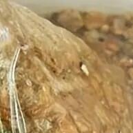 10 Iscas de Pesca de Camarão Realistas com Ganchos para Carpa Noturna - imagem 2