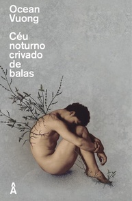 Céu Noturno Crivado de Balas: Poesia que Transcende Fronteiras e Experiências - imagem 1