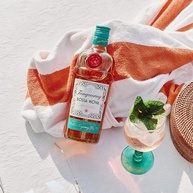 nova-700ml-bossa-gin-tanqueray