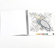 number-stress-anti-livro-laranja-a-by-color-colorir-brain-games-de-a