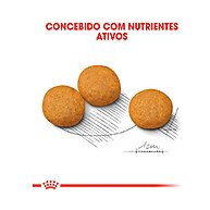 Royal Canin Dermaconfort Médio: Alívio e Nutrição! - imagem 2