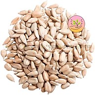 nutricao-sabor-pepita-500g-girassol-e