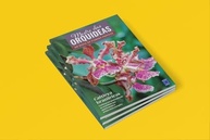 o-brasileiras-a-cultivo-descubra-das-orquideas-perfeito-beleza-cattleya-mestre-e-a