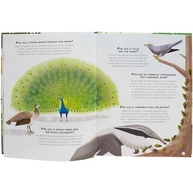 o-mundo-animal-curiosas-a-200-respostas-para-e-perguntas-criancas-fascinantes-descubra-a