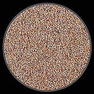 Painço Milheto: O Segredo da Alimentação Ideal para Pássaros - imagem 2
