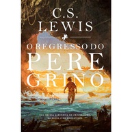 O Regresso do Peregrino: Uma Jornada Espiritual - imagem 1