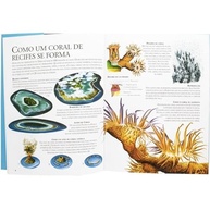 Lar dos Animais: Recifes de Corais - Descubra o Mundo Subaquático! - imagem 5