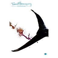 O Velho e o Mar: A Saga de Coragem de Hemingway - imagem 1