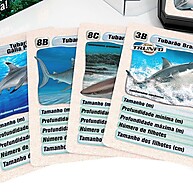 Super Trunfo Tubarões: Domine os Oceanos! - imagem 2