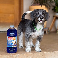 Sanol Dog 2L: Adeus, Maus Odores! - imagem 2