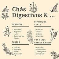 Chá de Funcho Orgânico 10 Sachês - Kampo de Ervas - imagem 4