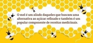 Mel de Eucalipto Orgânico Organic 200g - imagem 1
