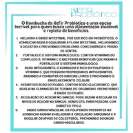 Scoby Kombucha Compre 2 Ganhe 1! - Original Fermentação Natural Chá Vivo Caseiro - imagem 4