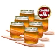 Scoby Kombucha Original Fermentação Natural 6 Unidades! - imagem 2
