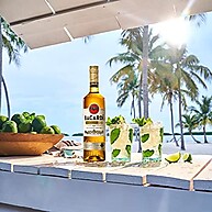 oro-dourado-sabor-premium-980ml-bacardi-rum-carta