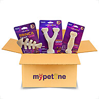 Osso de Bambu MyPetOne: Limpeza Dental + Diversão! - imagem 1