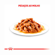 Royal Canin Sachê Gatos +7: Nutrição para a Idade de Ouro - imagem 2