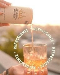 pack-gengibre-refrigerante-com-original-bebida-220ml-6-ginger-de-refrescante-latas