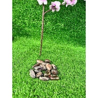 Pedra Rolada Polida Granada Vermelha - Pacote 200g para Decoração e Cura Energética - imagem 4