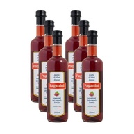 Kit 6X: Vinagre de Vinho Tinto Italiano Paganini 500ml - imagem 1