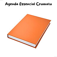 Agenda Executiva 2025: Couro Percalux + 330 Páginas - imagem 1