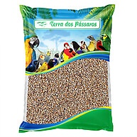 Painço Milheto: O Segredo da Alimentação Ideal para Pássaros - imagem 1