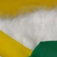 T-Shirt Brasil Copa do Mundo: Vista a Paixão! - imagem 1