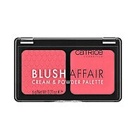 Paleta Catrice Blush Affair: Creme e Pó em 1 Só! - imagem 1