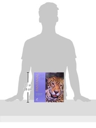 pantanal-majestade-mundo-maior-textos-do-a-planicie-a-inspiradores-da-e-alagavel-imagens-em-a