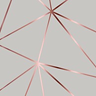 Papel de Parede Rose Silver: Transforme Seu Espaço! - imagem 1