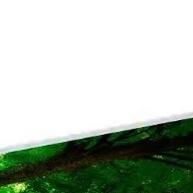 Papel Fotográfico 80g Adesivo Glossy A4 - 20 Folhas: Impressões de Alta Qualidade e Resistentes - imagem 1