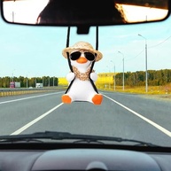 para-balancando-carro-para-pato-a-charmosa-e-veiculo-decoracao-seu-divertida-a