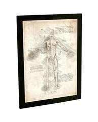 Quadro Decorativo Corpo Humano - Estudo Médico e Biológico para Decoração Moderna - imagem 2