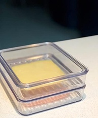 para-com-presunto-cinquetti-tampa-frios-porta-pote-a-queijo-e-empilhavel-transparente-a