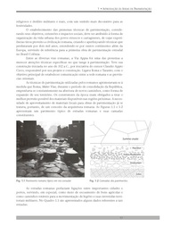 Pavimentação Asfáltica: Guia Completo para Engenheiros e Estudantes - imagem 4