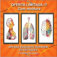 Quadro Decorativo Anatomia Humana - Moldura Elegante para Consultórios e Ambientes Médicos - imagem 4