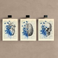 Kit 3 Quadros Decorativos Medicina com Flores - Ideal para Consultórios e Ambientes Profissionais (40x28cm) - imagem 4