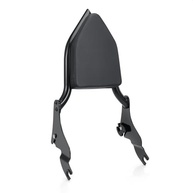 Sissy Bar Encosto Destacável para Passageiro Harley Touring 2009-2024 - Conforto e Estilo Premium (Preto) - imagem 3