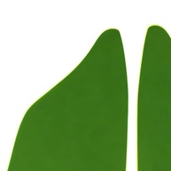 Protetor de Farol KiBcsLic para Ducati 1299 Panigale - Proteção Premium Verde - imagem 4