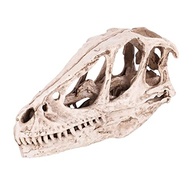 Crânio de Dinossauro em Resina - Decoração Realista para Aquário, Escritório e Ensino (12,5 x 4,0 x 6,5 cm) - imagem 2
