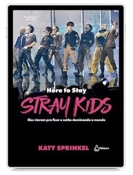 Stray Kids: Here To Stay - O Guia Essencial para Dominar o Mundo do K-Pop - imagem 2