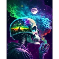 pchmcu Kits de pintura de caveira DIY por números para adultos, pintura por números para adultos lua iniciante, kits de pintura de esqueleto por números em tela sem moldura para decoração de parede de - imagem 2