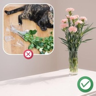 Protetor de Parede Longo 4 Peças: Proteção Transparente e Elegante para Portas e Cadeiras - imagem 5