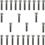 Kit Parafusos Inox Tampa Motor CB250F Twister 2016+ (Esquerda/Direita) - Qualidade Premium - imagem 2
