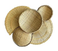 Leque Palha de Carnaúba - Kit 2 Peças para Decoração de Parede com Cestaria Natural - imagem 4