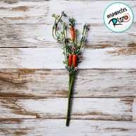 Galho de Cenouras Rizzo: Decore sua Páscoa! - imagem 2